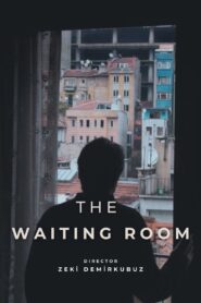 The Waiting Room 2004 one on netflix