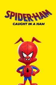 Spider-Ham: Caught in a Ham 2019 one on netflix