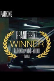 Parking 2019 one on netflix