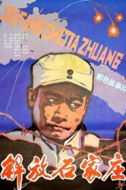 解放石家庄 1981 one on netflix