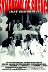 Symphony of Silence 2001 one on netflix