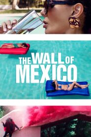 The Wall of Mexico 2020 one on netflix