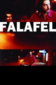 Falafel 2007 one on netflix