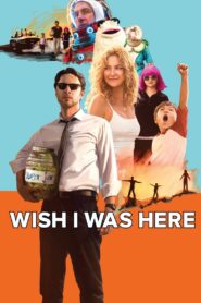 Wish I Was Here 2014 one on netflix