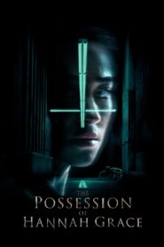 The Possession of Hannah Grace 2018 one on netflix