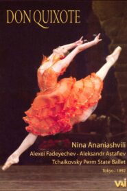 Don Quixote: The State Perm Ballet 1992 one on netflix