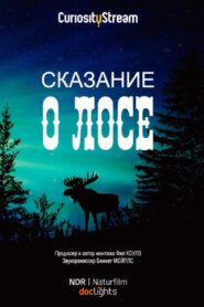 The Moose Movie 2020 one on netflix