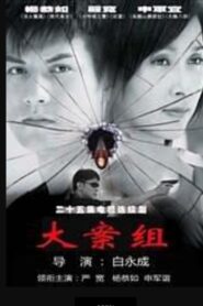 大案组 2008 one on netflix
