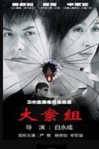大案组 2008 one on netflix