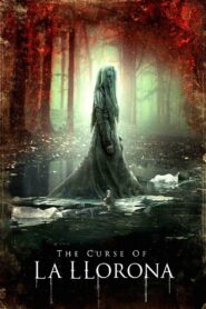 The Curse of La Llorona 2019 one on netflix
