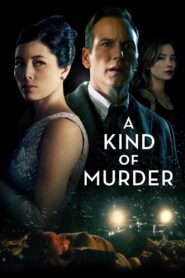 A Kind of Murder 2016 one on netflix