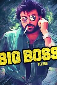 Big Boss 1995 one on netflix