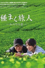 A Sower of Seeds 2012 one on netflix