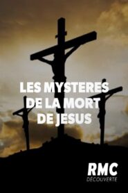 The Last Hours of Jesus Christ 2020 one on netflix