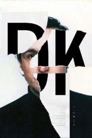 DK 2013 one on netflix