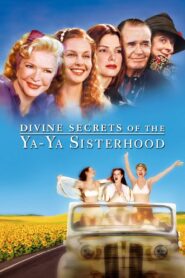 Divine Secrets of the Ya-Ya Sisterhood 2002 one on netflix