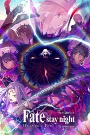 Fate/stay night: Heaven’s Feel III. Spring Song 2020 one on netflix