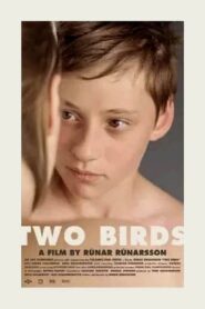 Two Birds 2008 one on netflix