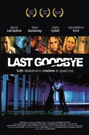 Last Goodbye 2004 one on netflix