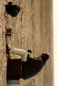 Landscape On the Other Side: Hong Kong Cinematographer Bill Wong 2010 one on netflix