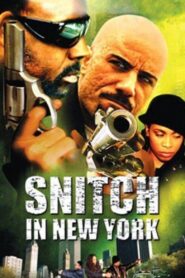 Snitch in New York 2002 one on netflix