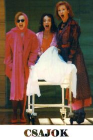 Bitches 1995 one on netflix