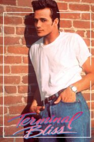 Terminal Bliss 1992 one on netflix