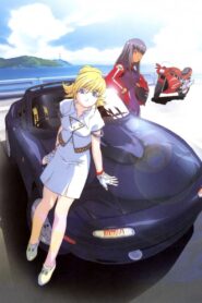 eX-Driver: Nina & Rei Danger Zone 2002 one on netflix