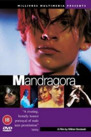 Mandrake 1997 one on netflix