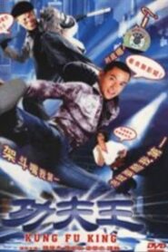 功夫王 2005 one on netflix
