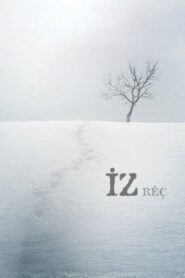 The Trace 2011 one on netflix