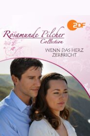 Rosamunde Pilcher: Wenn das Herz zerbricht 2010 one on netflix