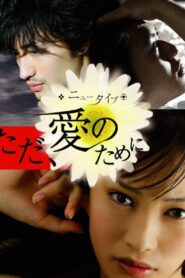 New Type: Just For Your Love 2008 one on netflix