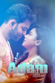 Adam Joan 2017 one on netflix