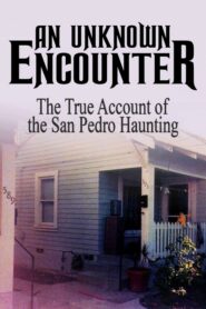 An Unknown Encounter 1997 one on netflix