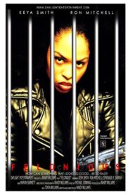 Felonious 2004 one on netflix