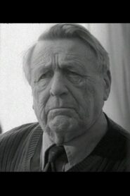 Arnold Matteus 1982 one on netflix