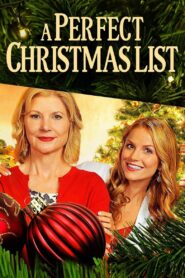 A Perfect Christmas List 2014 one on netflix