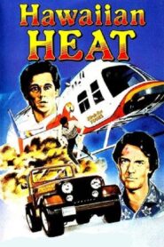 Hawaiian Heat 1984 one on netflix