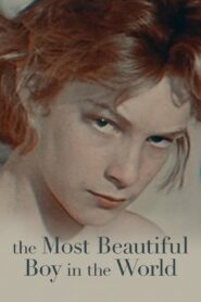 The Most Beautiful Boy in the World 2021 one on netflix