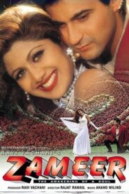 Zameer: The Awakening of a Soul 1997 one on netflix