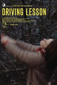 Driving Lesson 2015 one on netflix