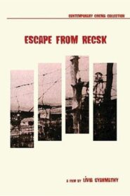 Escape 1997 one on netflix