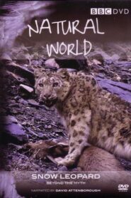 Snow Leopard: Beyond the Myth 2008 one on netflix