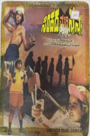 Simhada Mari Sainya 1981 one on netflix