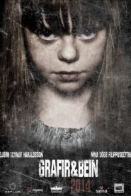 Graves & Bones 2014 one on netflix