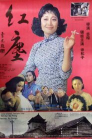 Unwelcome Lady 1994 one on netflix