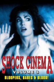 Shock Cinema: Volume Three 1991 one on netflix