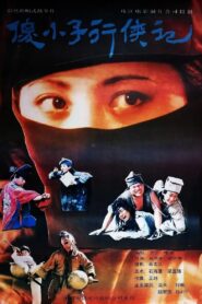 傻小子行侠记 1989 one on netflix