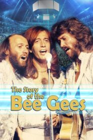 The Story of The Bee Gees 2011 one on netflix